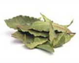 Bay-Leaf