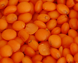 Red-Split-Lentil-Futball
