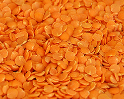 Red-Split-Lentil