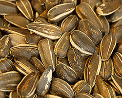 Sunflower-Seeds-large